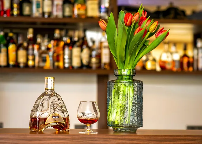 Cosmopolitan Bobycentrum - Czech Leading 4* Brno